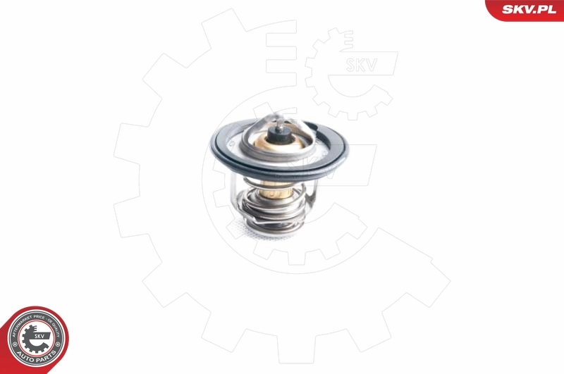 Thermostat, coolant